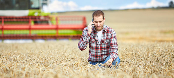 Farmer using his phone and viewing crops.